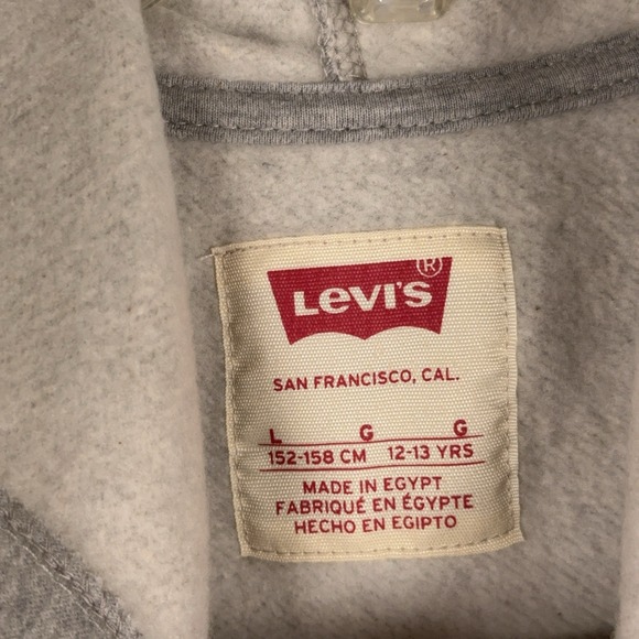 Levis Sweatshirt Hoodie Boys Large Gray Red Batwing Logo Pullover 12-13 yrs NEW - Picture 4 of 9